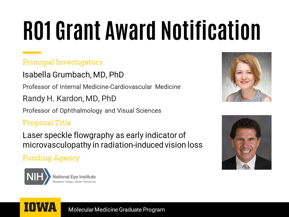 Grumbach Awarded NIH NEI R01