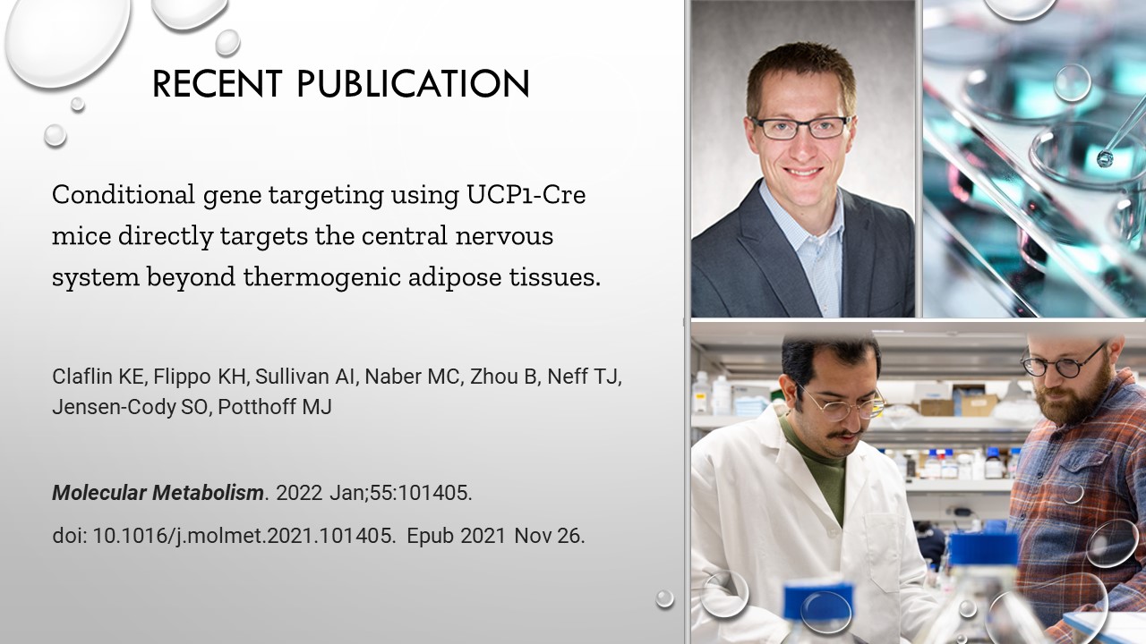 2022.01 Potthoff Lab Publication in Molecular Metabolism