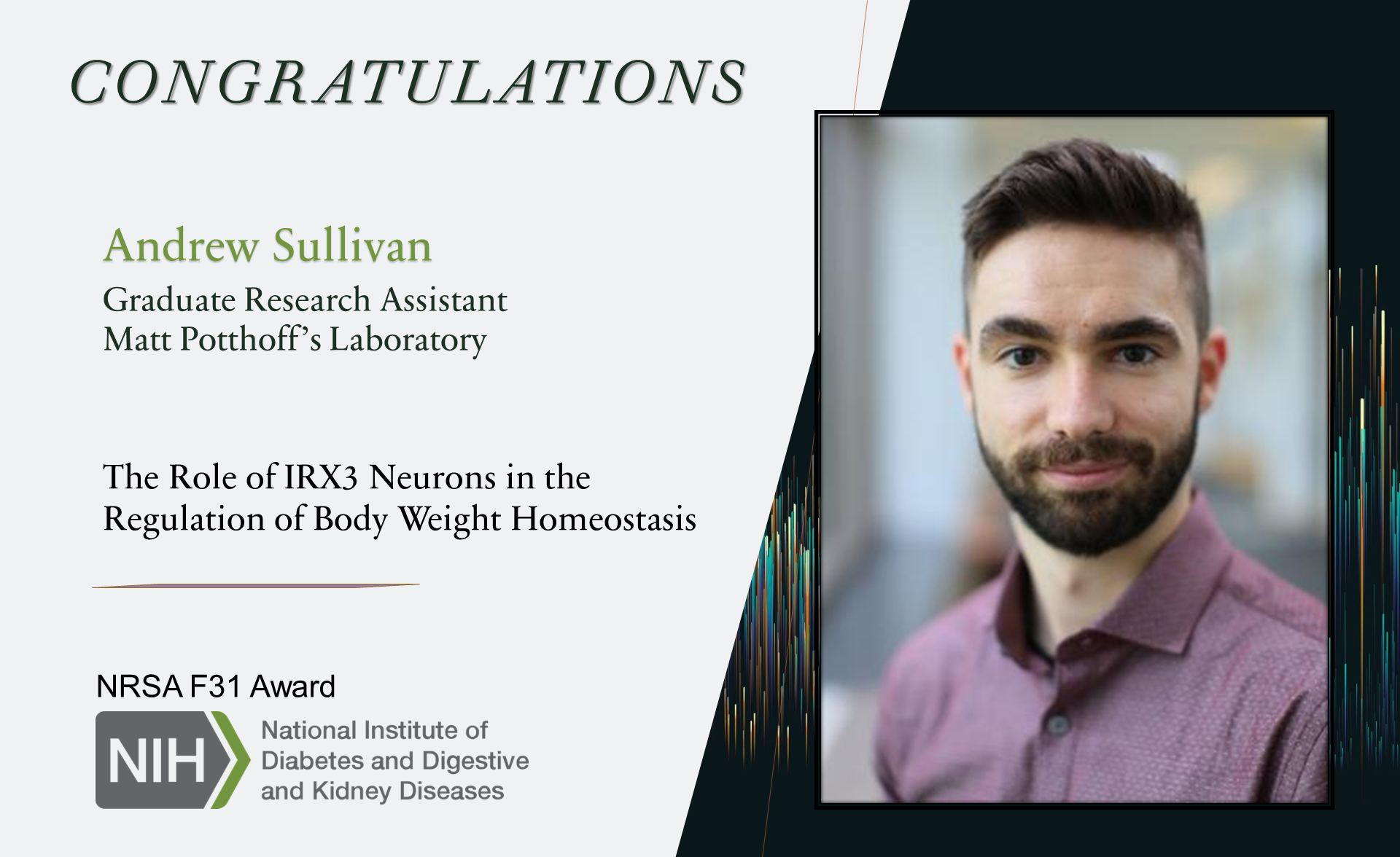 2023.07.17 andrew_sullivan_-_nih_nrsa_f31_fellowship_7.2023