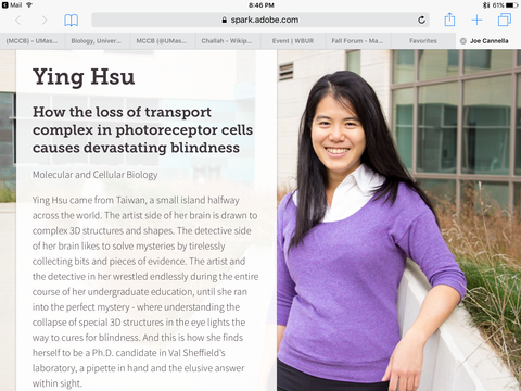 Ying Hsu
