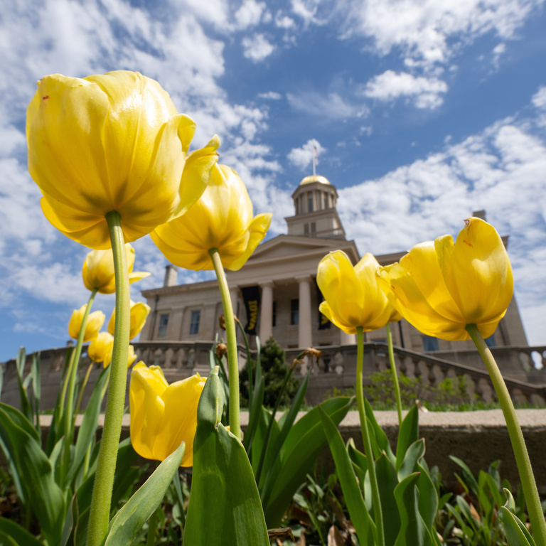 Spring Campus