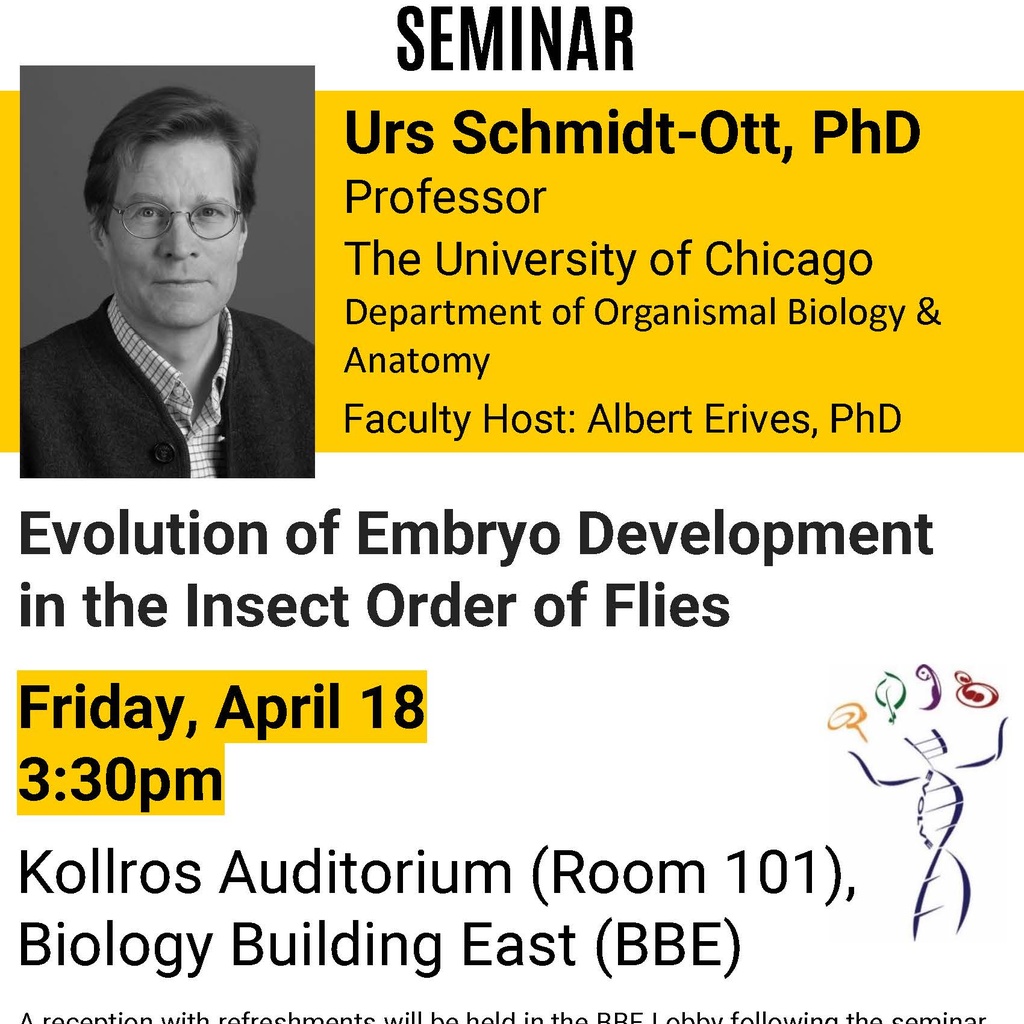 Biology Seminar: Evolution of Embryo Development in the Insect Order of Flies promotional image