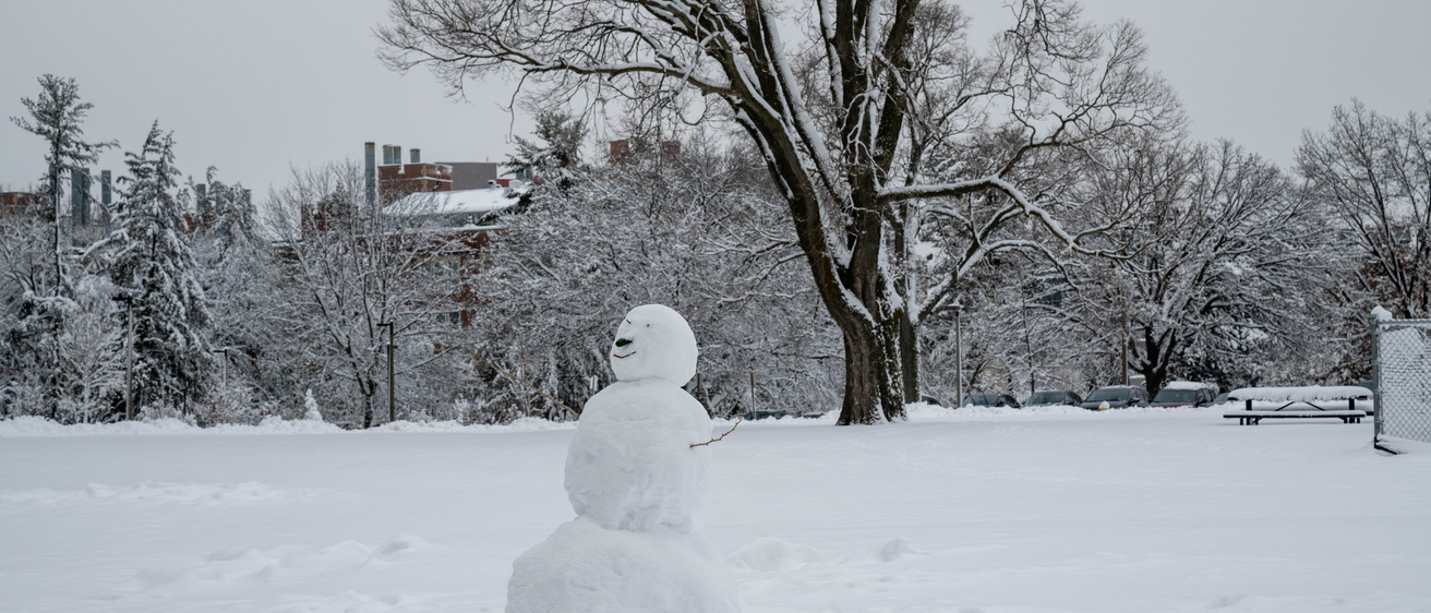 Winter Snowman