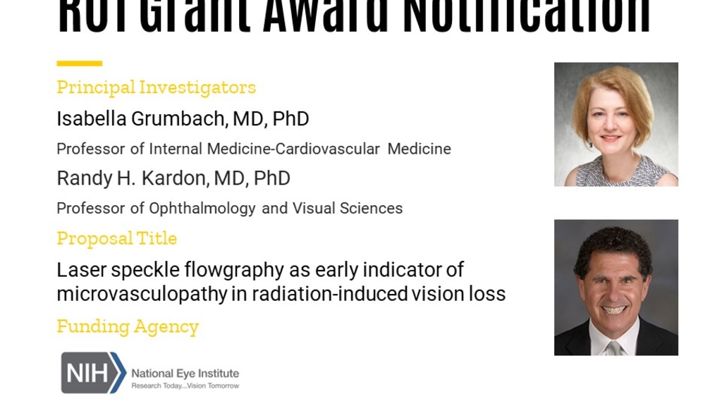 Grumbach Awarded NIH NEI R01