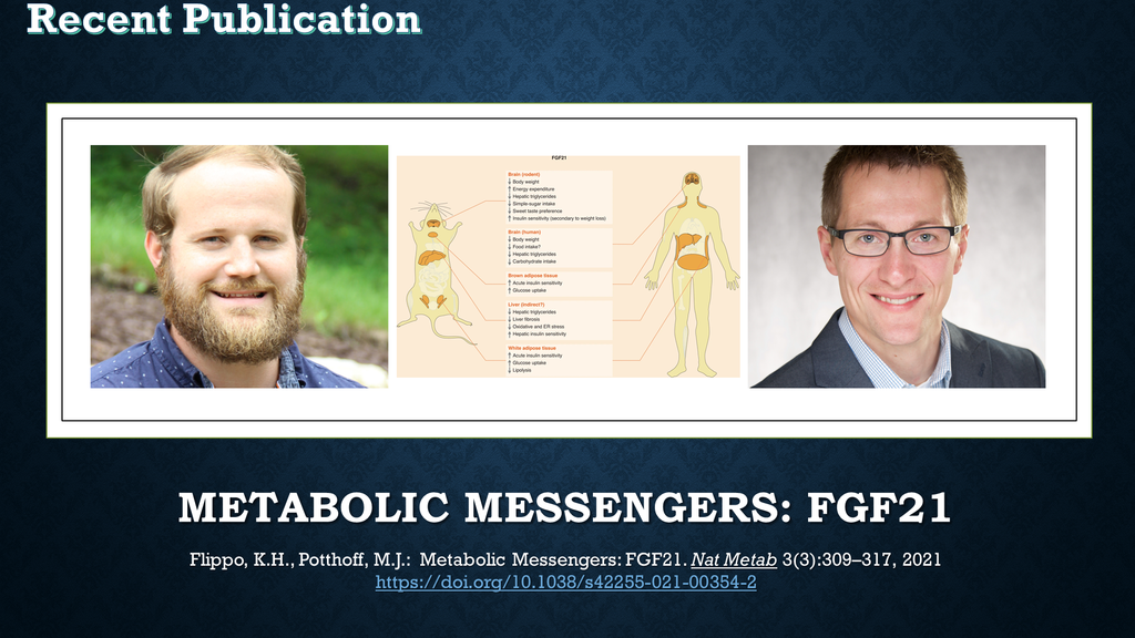 flippo_and_potthoff_-_natural_metabolism_2021_new