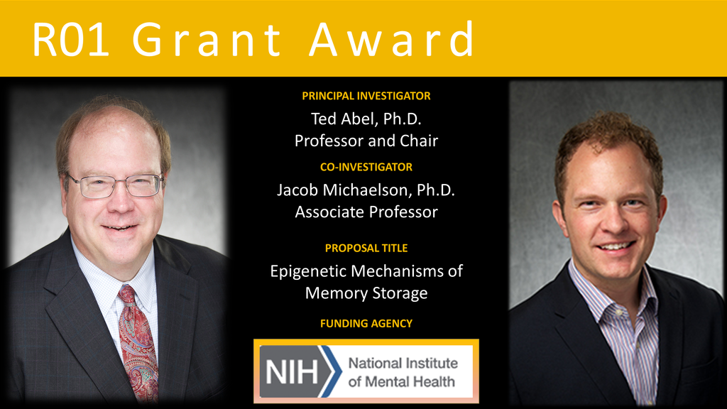 2021.05.26 abel_r01_comp_renewal_nih_nimh_may_2021_with_michae