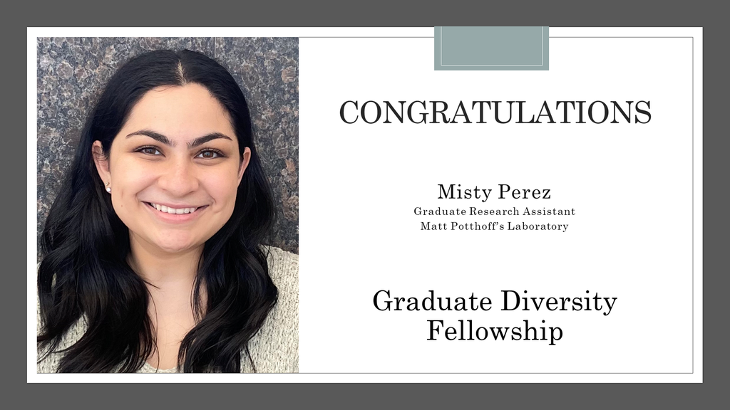 misty_perez_-_graduate_diversity_fellowship_fall_2021