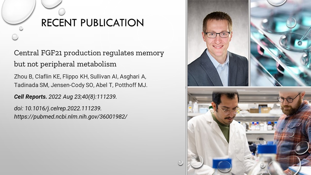 2022.08.23 Journal Publication Cell Reports Pothoff Lab