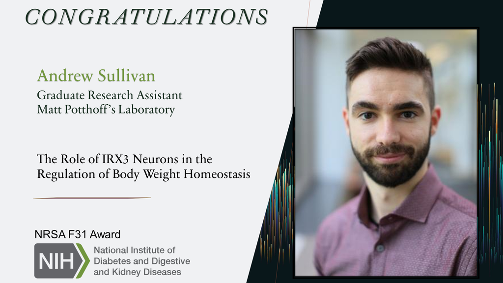2023.07.17 andrew_sullivan_-_nih_nrsa_f31_fellowship_7.2023