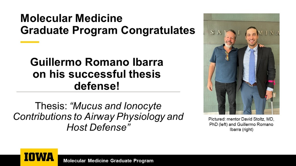 Ibarra Thesis