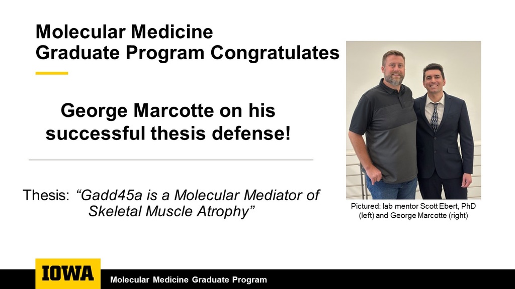 Marcotte Thesis