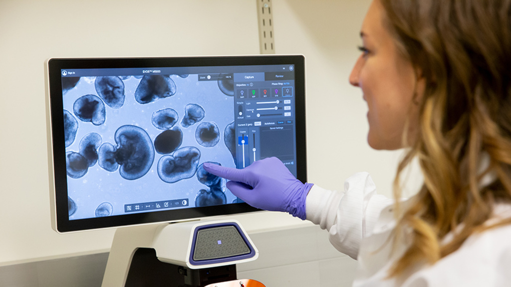 Alumna Kathleen Chirco at Casey Eye Institute