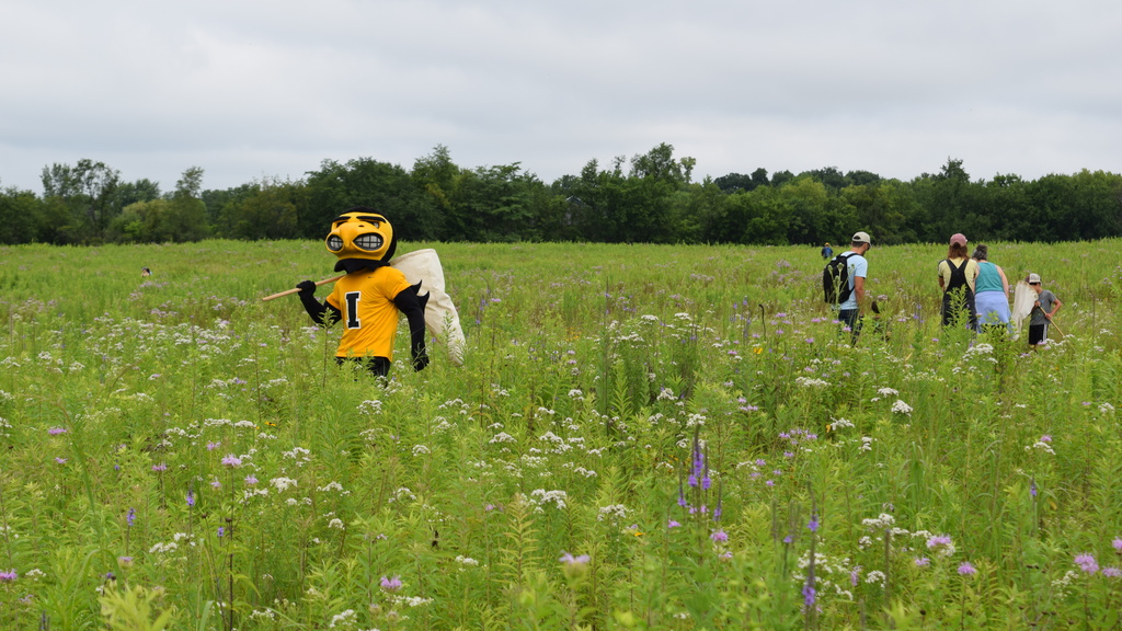 6th Annual BioBlitz at the Ashton Prairie Living Laboratory promotional image